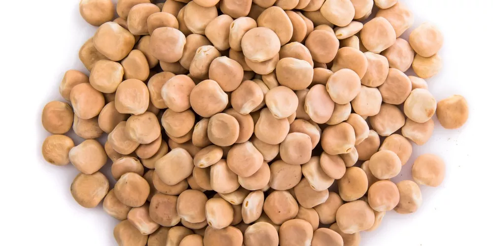 ترمس مر