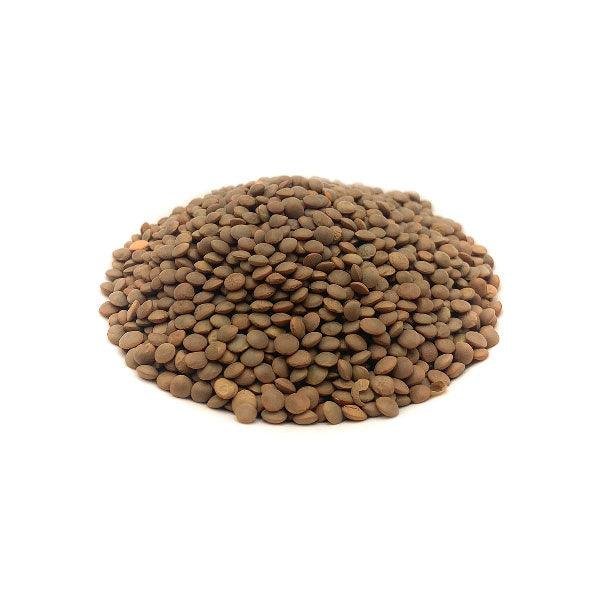 عدس بجبة