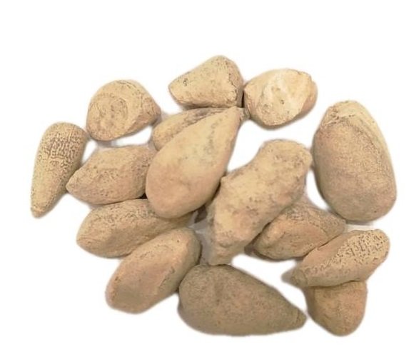 زيتونة القدس حصى