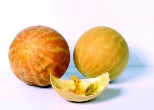حنضل