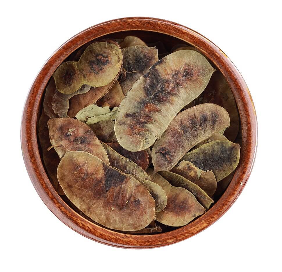 سنامكى قرون