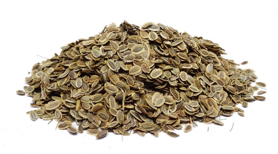 بذور شبت