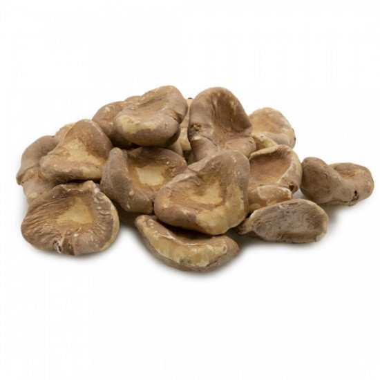 خميرة العرب